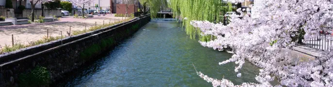 写真で見る広桃用水