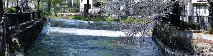 ウォーキングコース